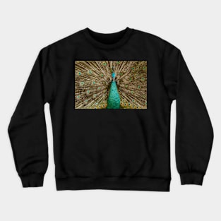 Bird of Paradise Crewneck Sweatshirt